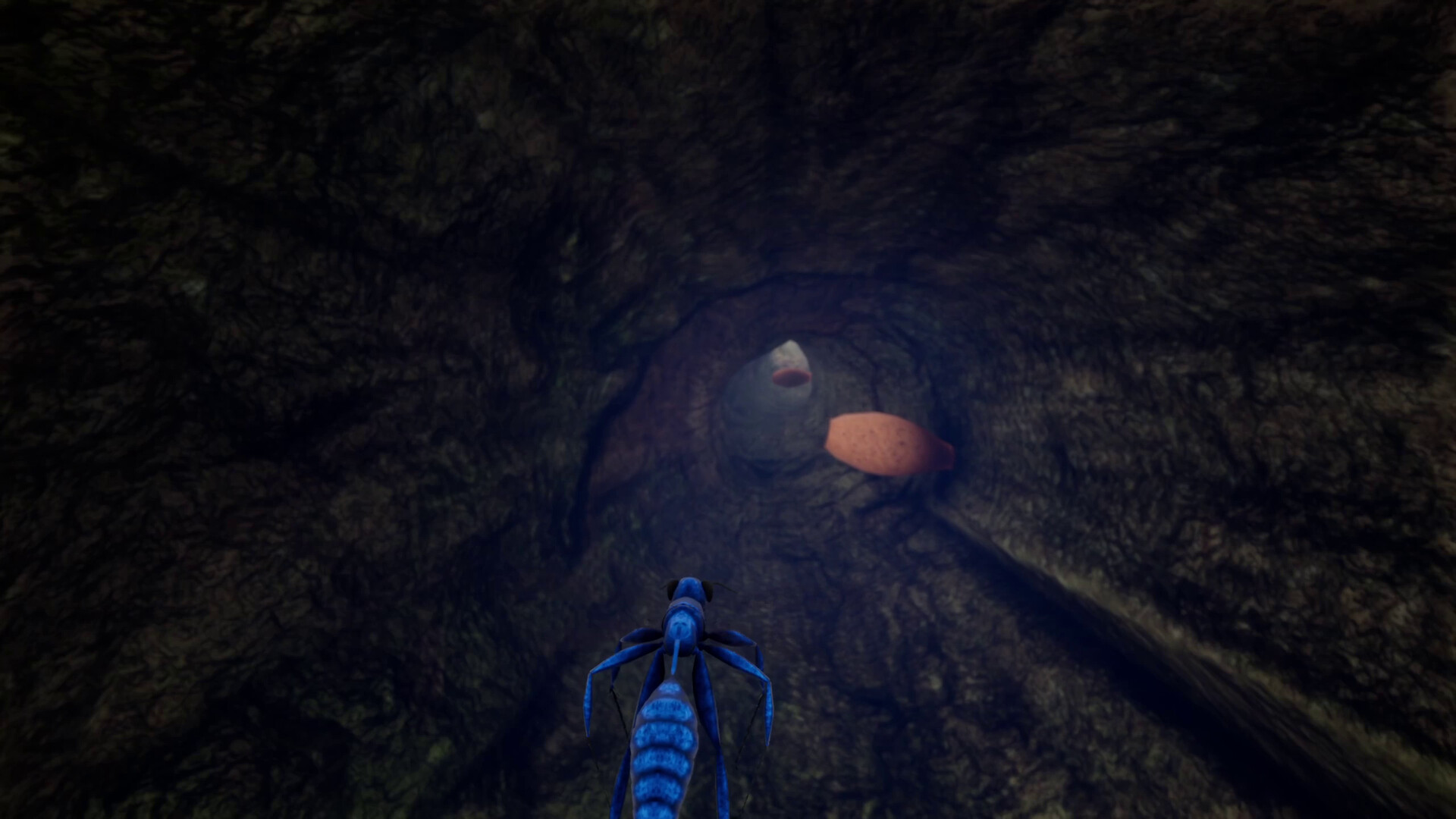 Nature And Life — Drunk On Nectar