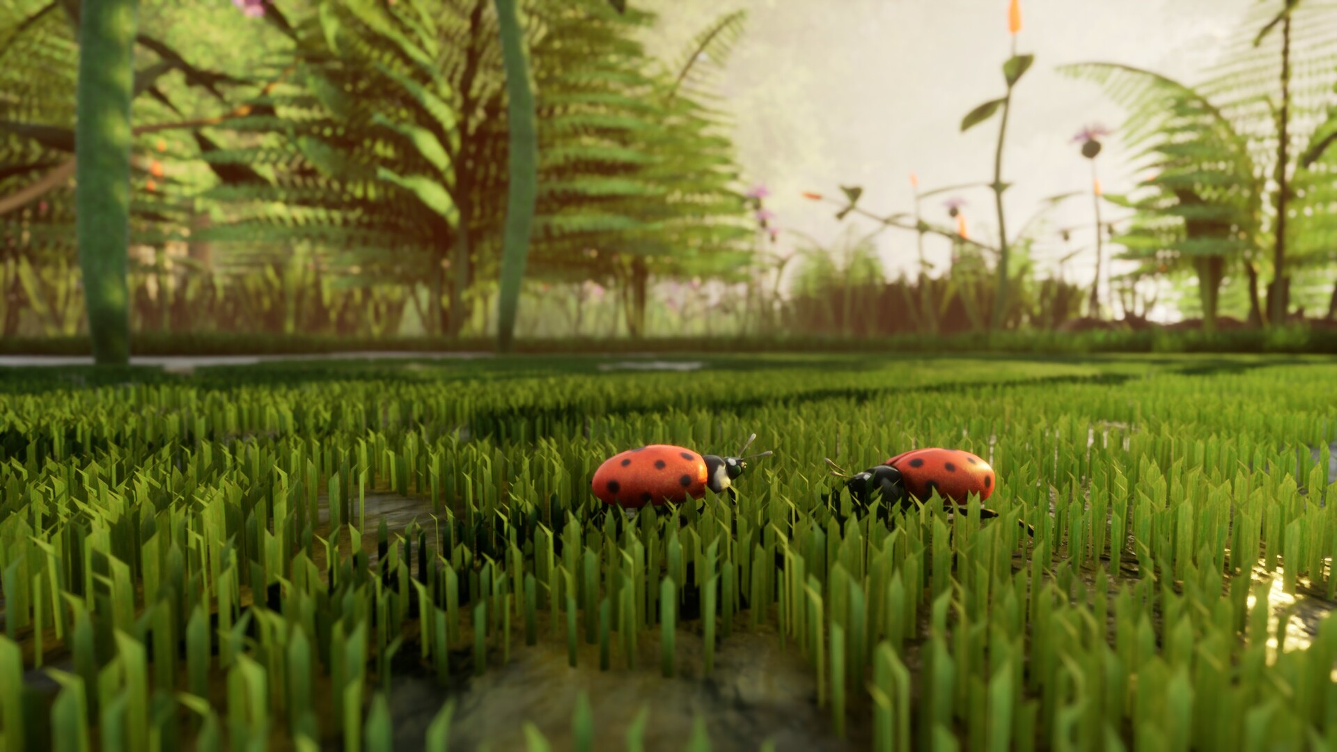 Nature And Life — Drunk On Nectar