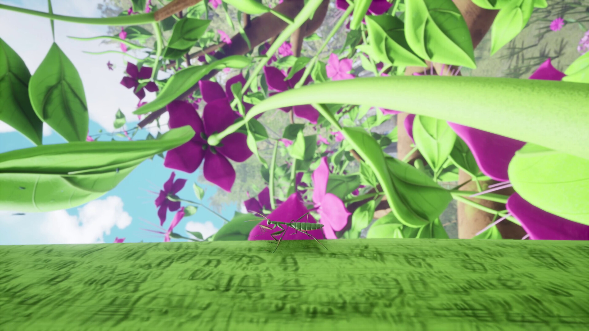 Nature And Life — Drunk On Nectar