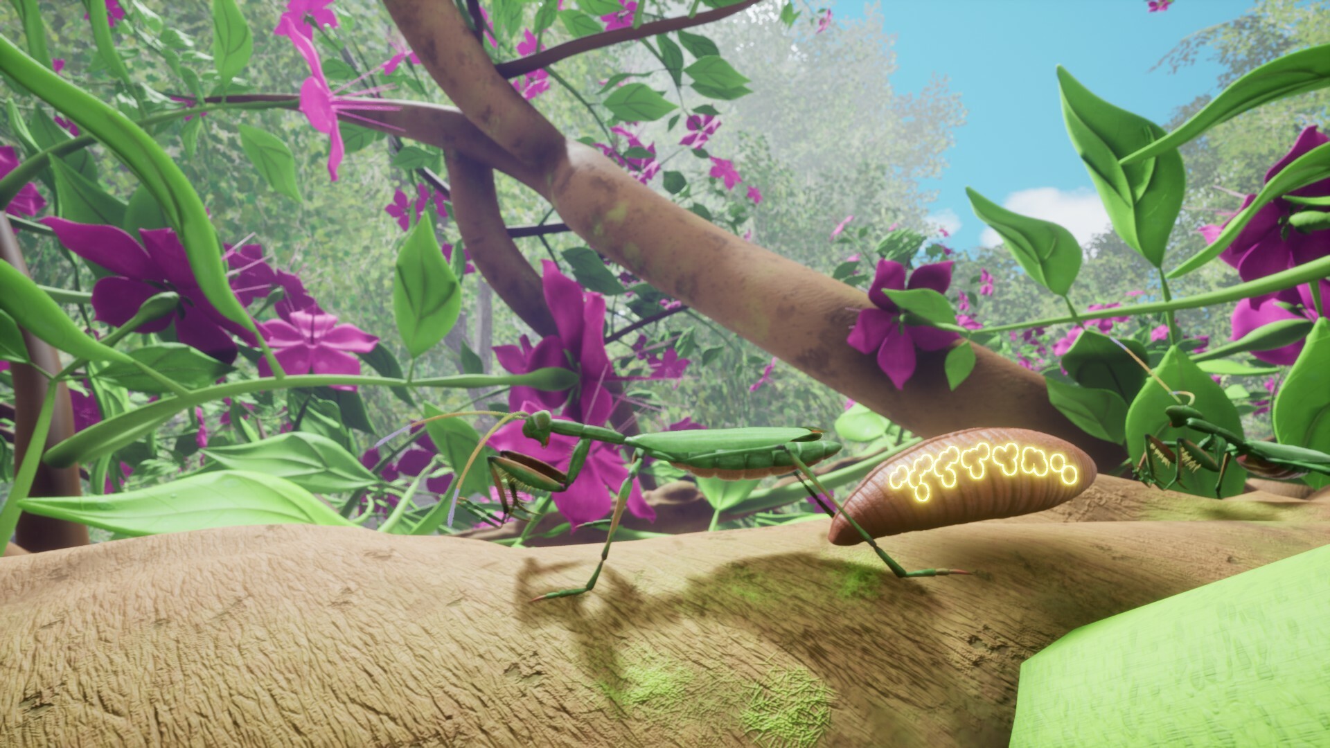 Nature And Life — Drunk On Nectar