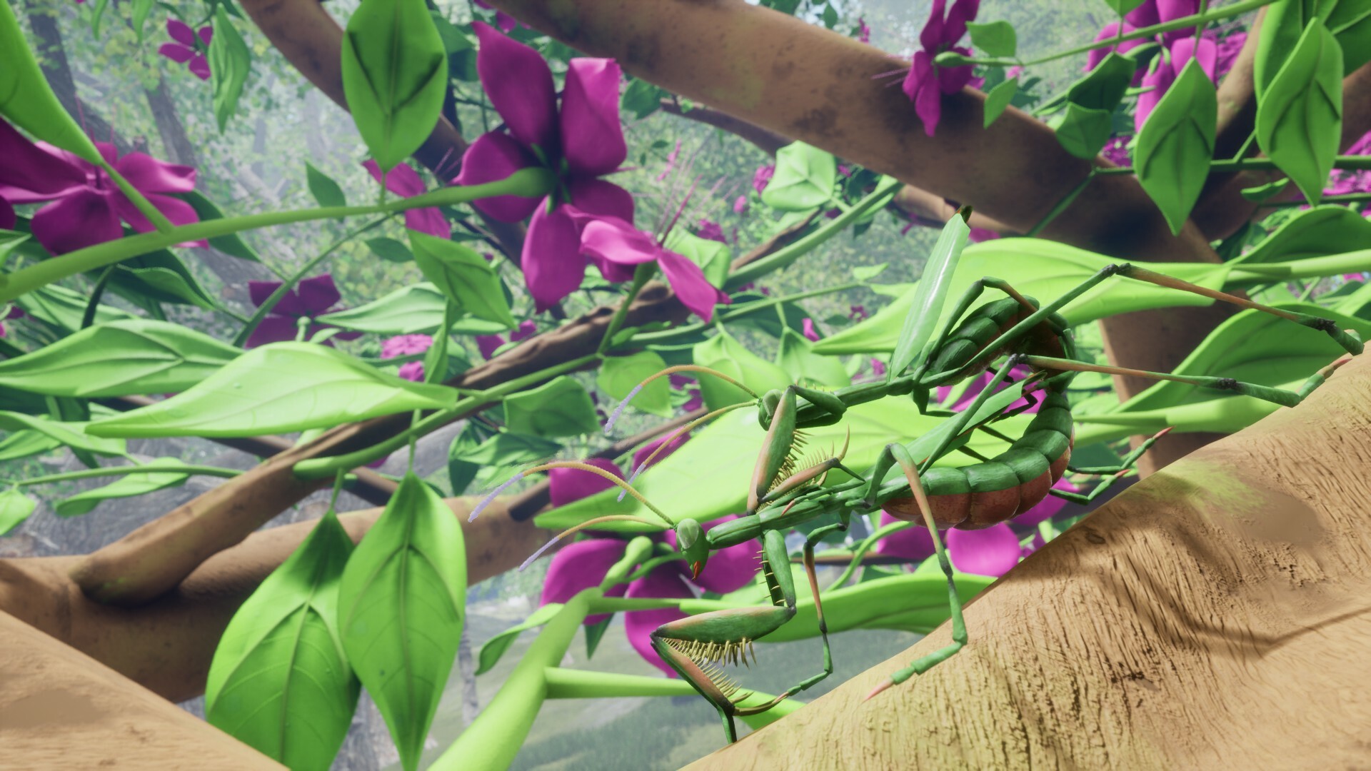 Nature And Life — Drunk On Nectar