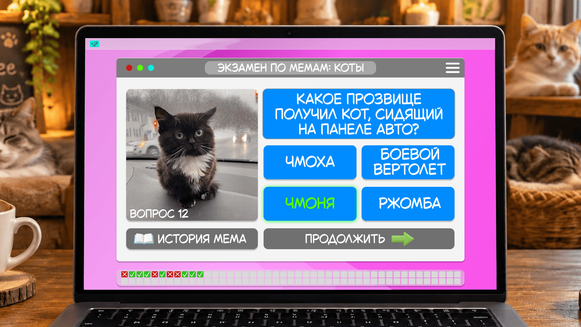 Meme Exam: Cats