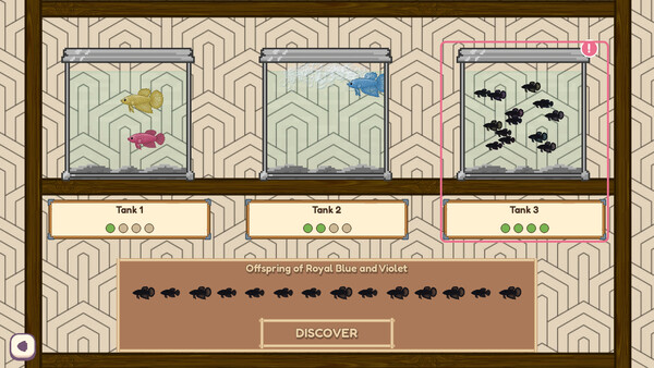 Little Bettas screenshot 3