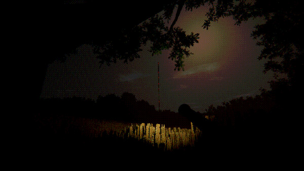 Screenshot of The Guest from the Fields
