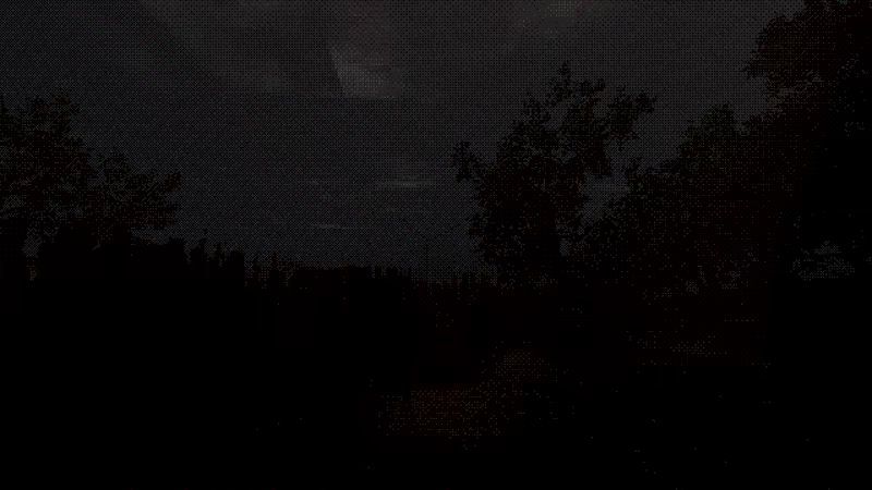 The Guest from the Fields video 2