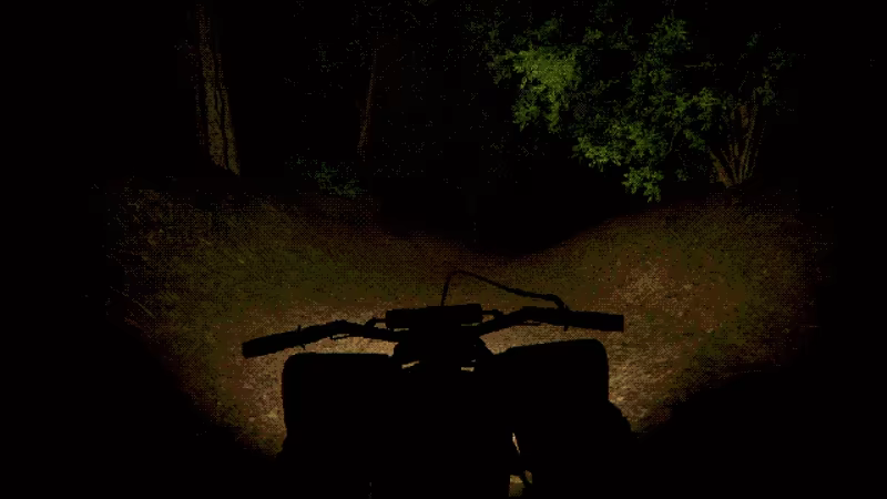 The Guest from the Fields video 5