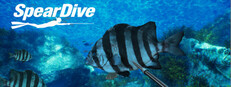 Spear Dive