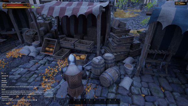 Goldfall screenshot 6