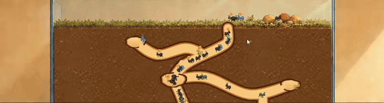 Ant video 2