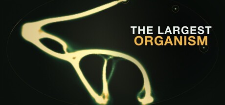 The Largest Organism