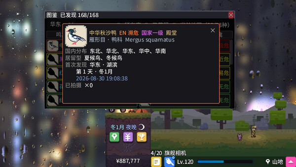 The Corner's Big-Year screenshot 1