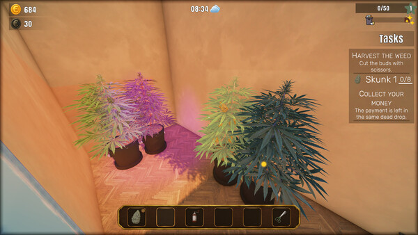Cash Only Screenshot