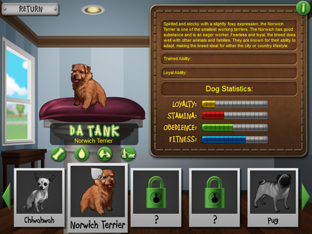 Best in Show Solitaire
