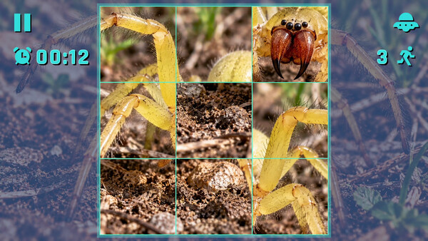 Puzzle Spiders screenshot 5