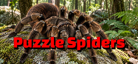 Puzzle Spiders artwork