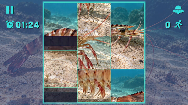 Puzzle Shrimps screenshot 5