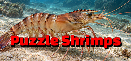 Puzzle Shrimps Header Image