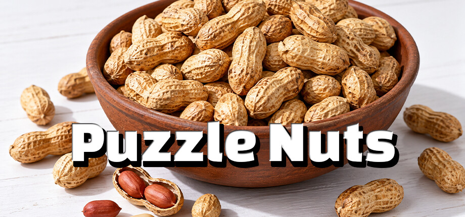 Puzzle Nuts header image