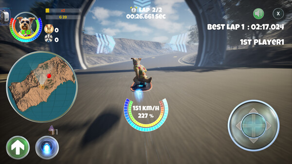 PupRacers 스크린샷 3