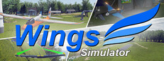 Wings Simulator