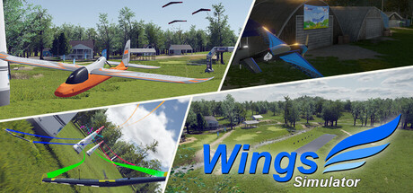 Wings Simulator
