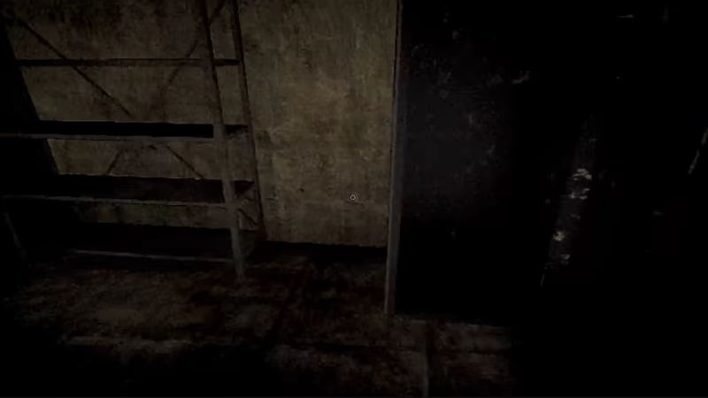 Fedanheim video 8