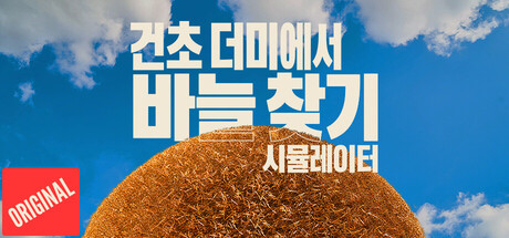 건초 더미에서 바늘 찾기 시뮬레이터 표지