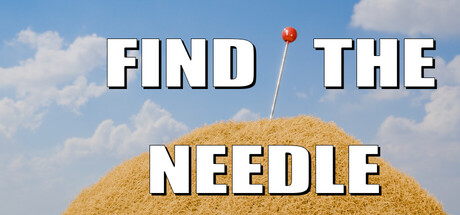 Find The Needle 표지