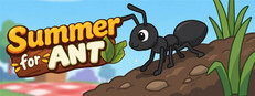 Summer for ANT