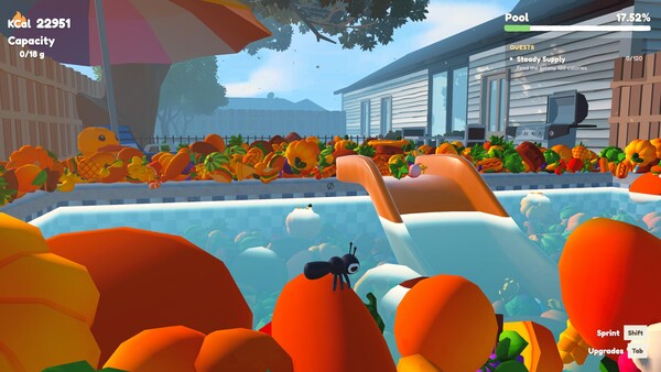 Summer for ANT screenshot 5