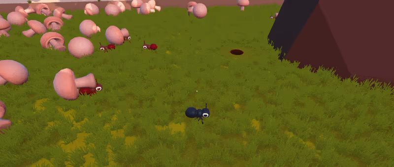 Summer for ANT video 2