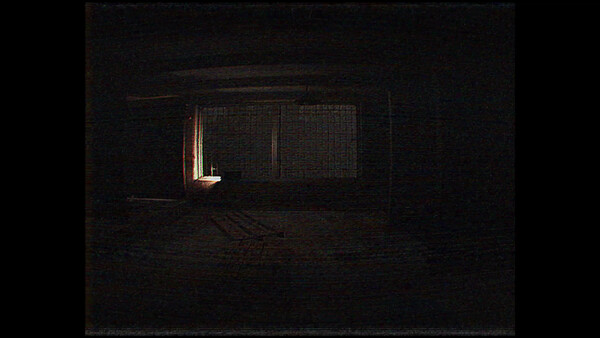 S.S.D. SCP-1373 screenshot 4