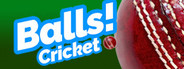 Balls! Virtual Reality Cricket