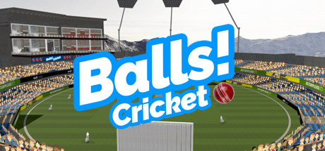 Balls! Virtual Reality Cricket banner image