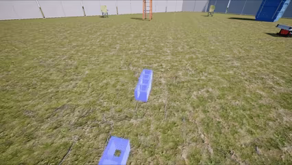 Blue Collar'd video 2