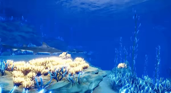 Ocean Fish video 1