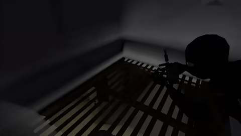Intruder video 4