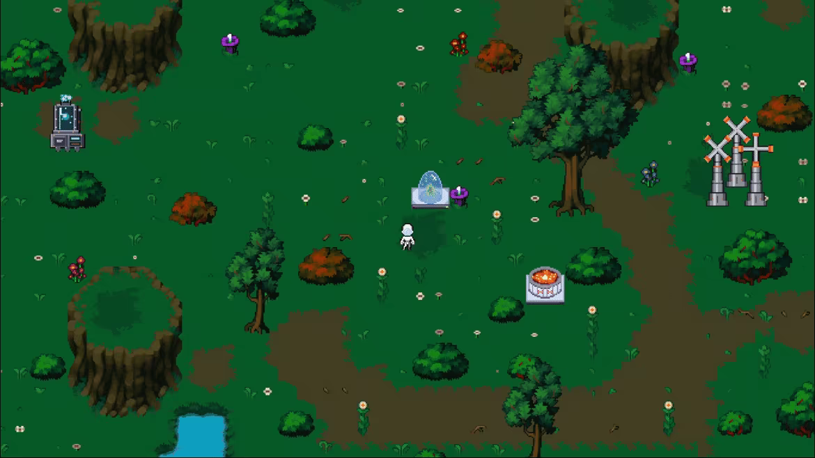 Seed The Planet video 3