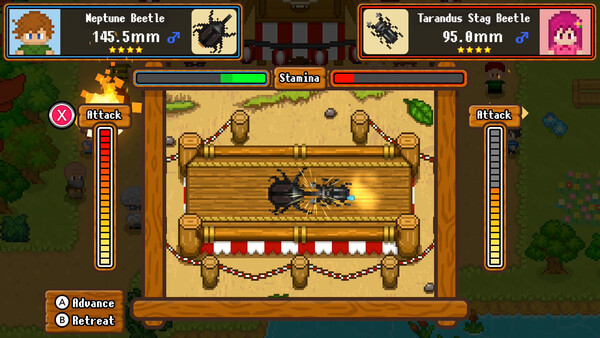 Peaceful Bug Catching Story - Festival Pack screenshot 2