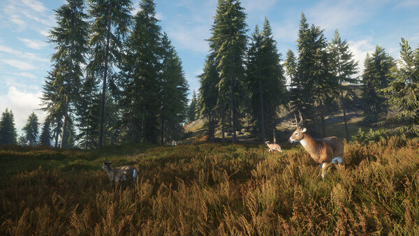 theHunter: Call of the Wild — Screenshot 4