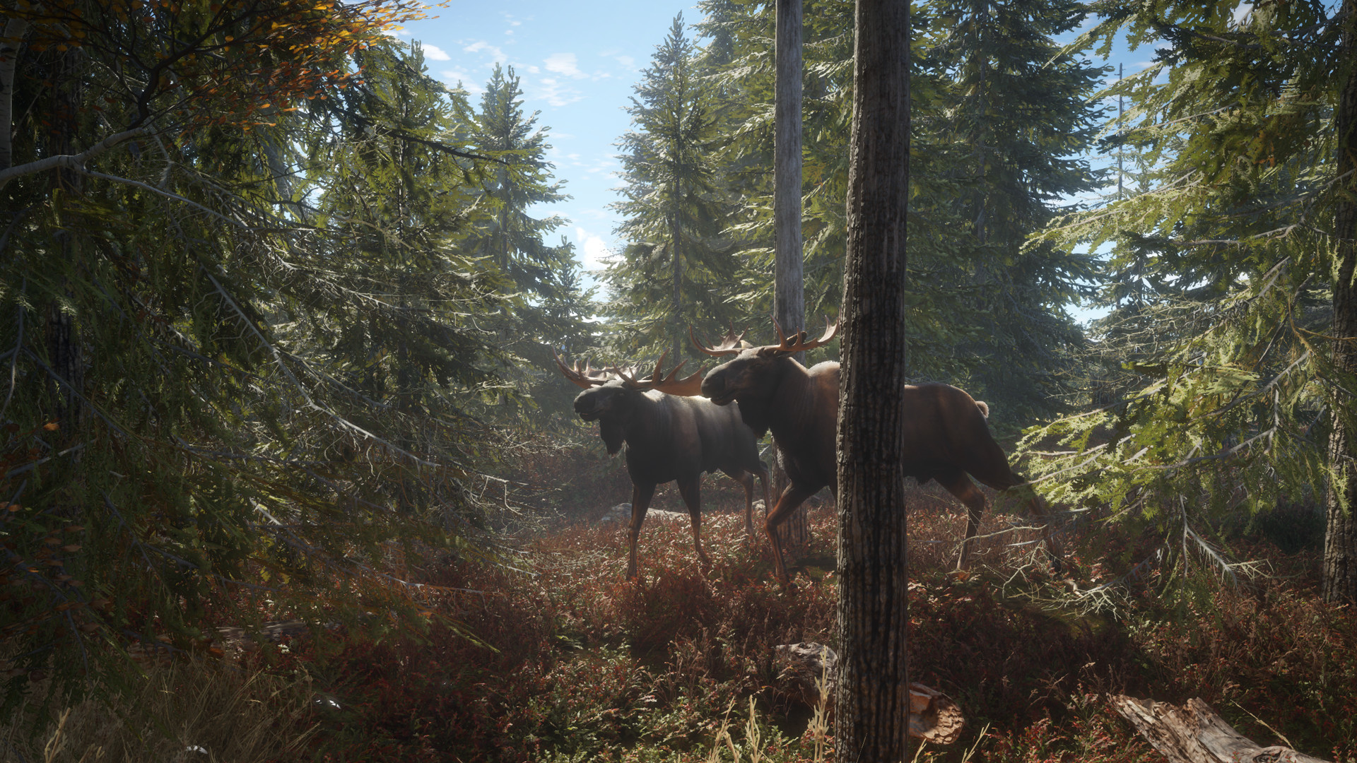 theHunter: Call of the Wild™ Screenshot 1