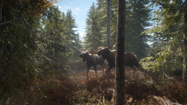 theHunter: Call of the Wild™ — скриншот 1