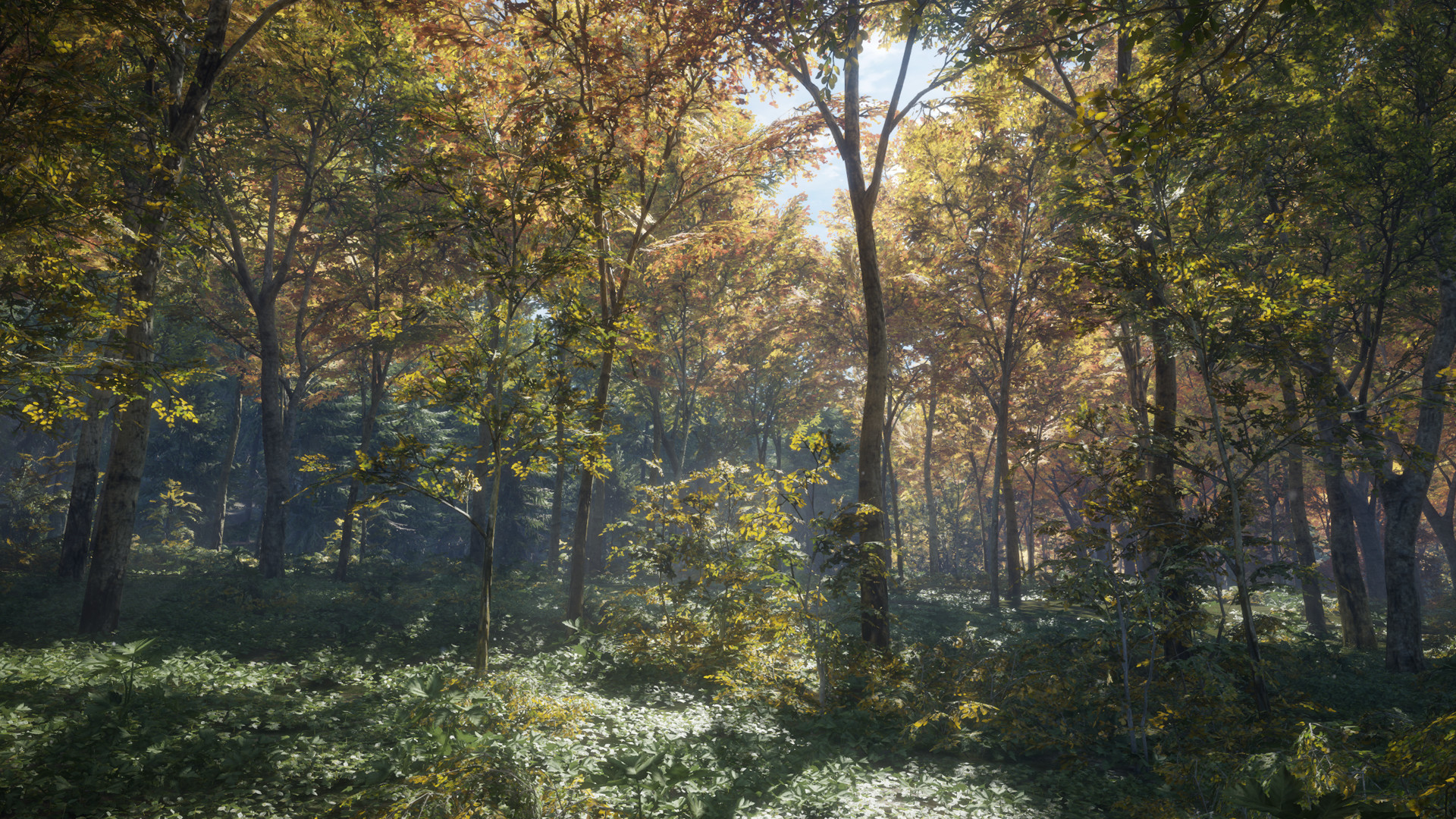 screenshot-24
