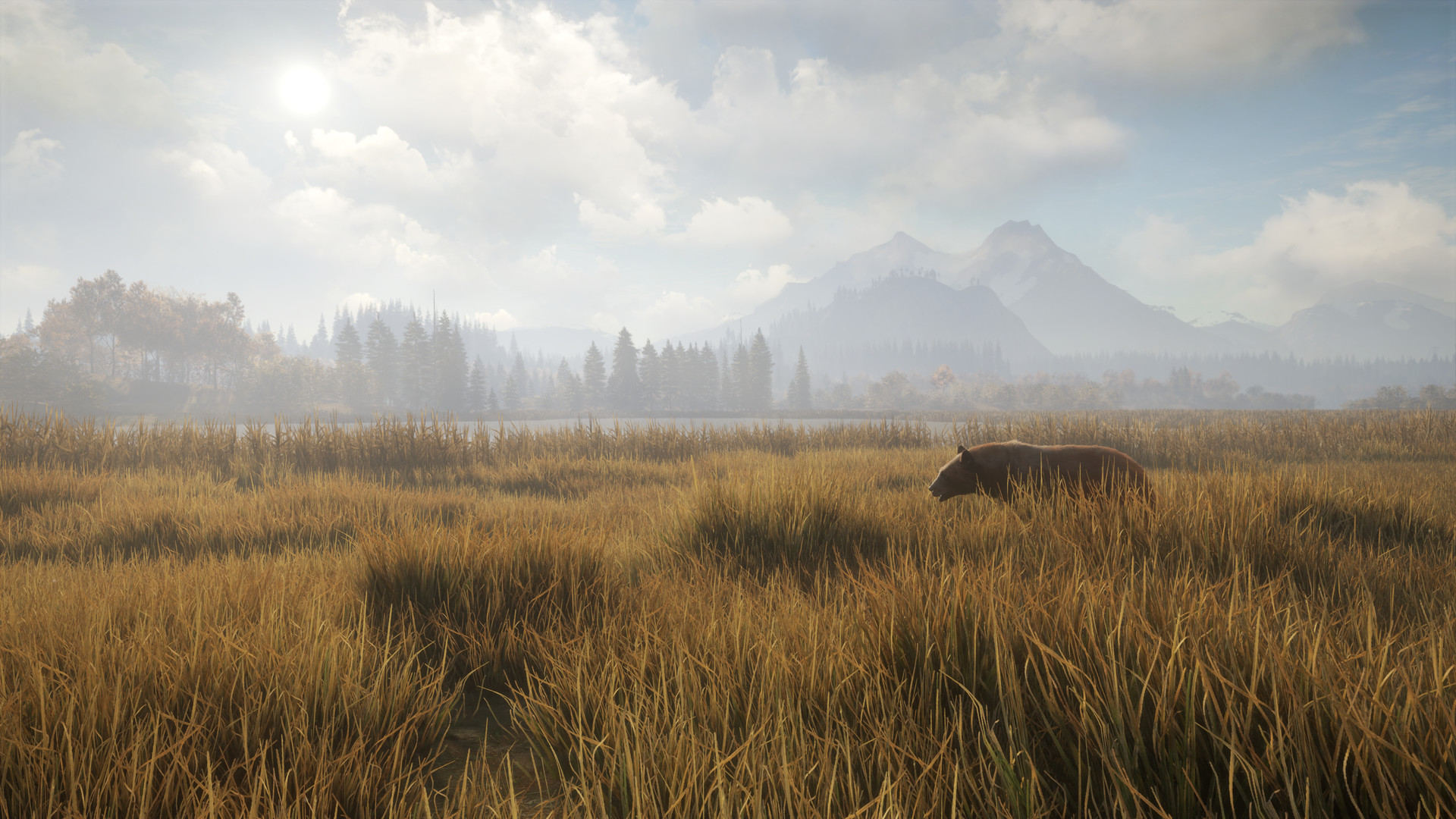 theHunter: Call of the Wild™ screenshot