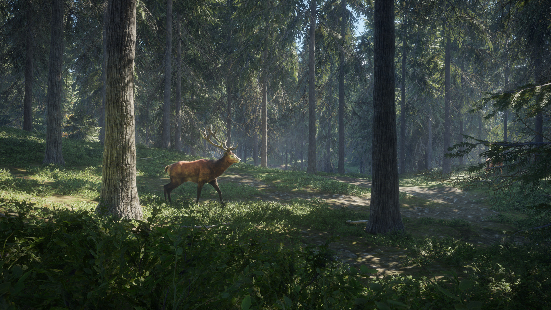 screenshot-18