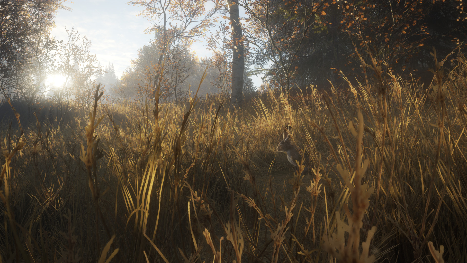 theHunter: Call of the Wild™ screenshot