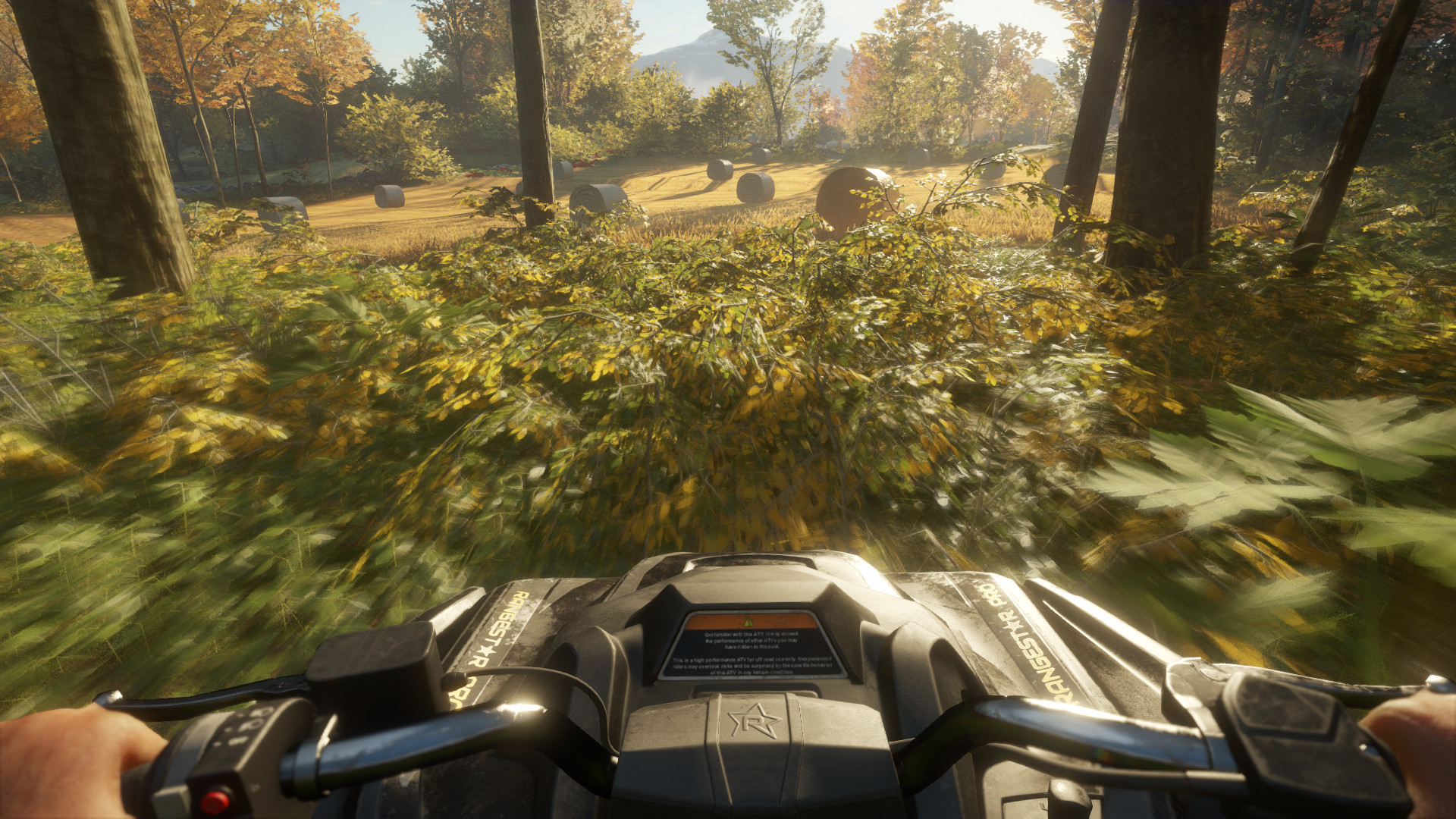 theHunter: Call of the Wild™ – Screenshot 19