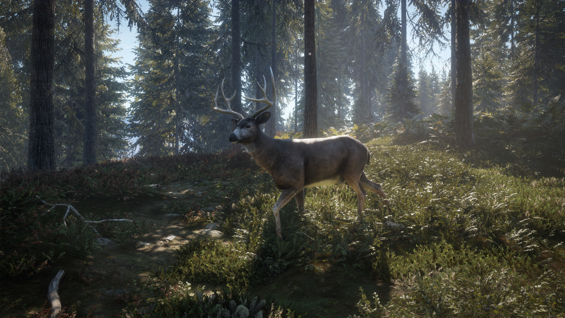 theHunter: Call of the Wild™ – Screenshot 24
