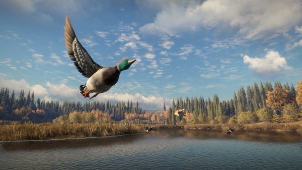 theHunter: Call of the Wild™ — скриншот 4