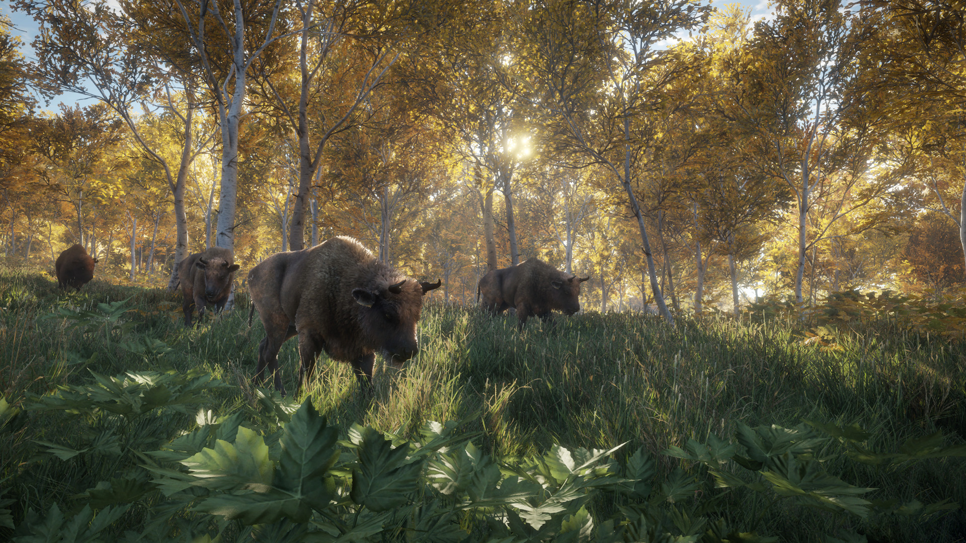 screenshot-22
